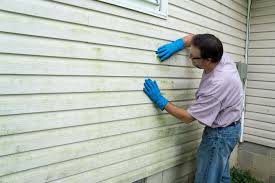 Affordable Siding Repair and Maintenance Services in Arroyo Seco, NM